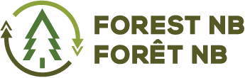 Forest NB - Forêt NB