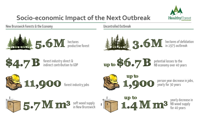 Photo: Healthy Forest Partnership