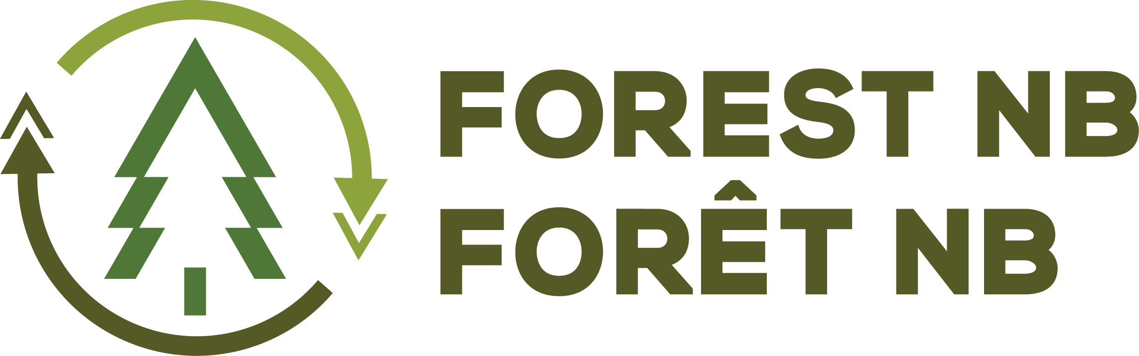 Forest NB - Forêt NB