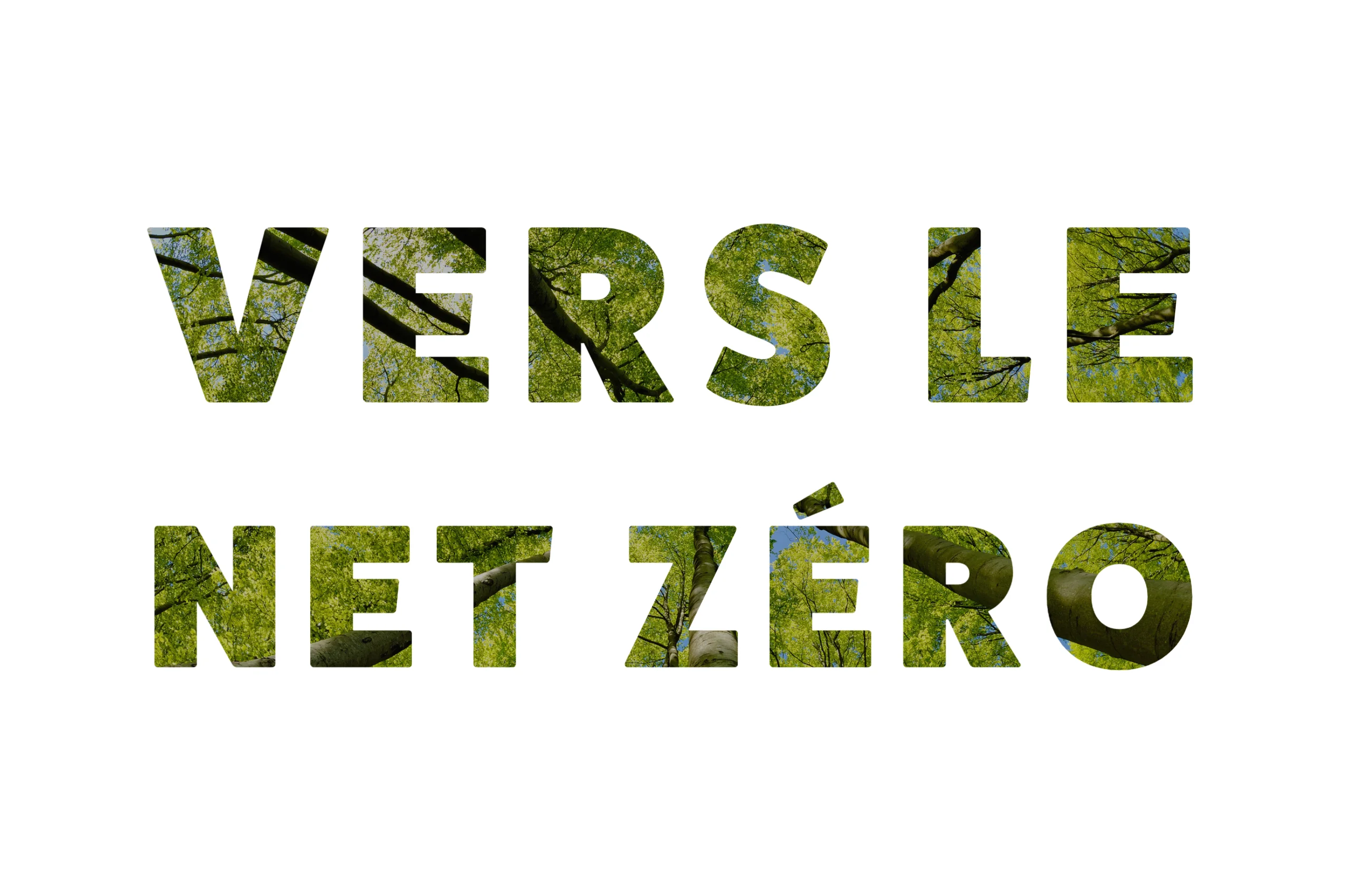 fr moving towards net zero-1 (2)