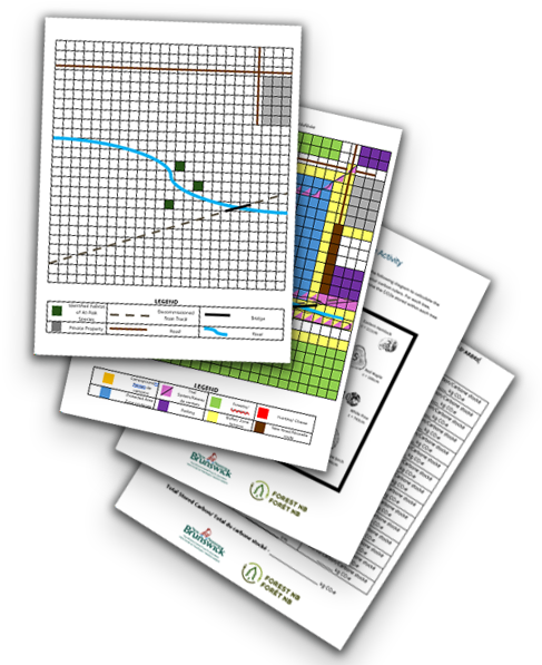 Website 9-12 handouts Website 9-12 handouts