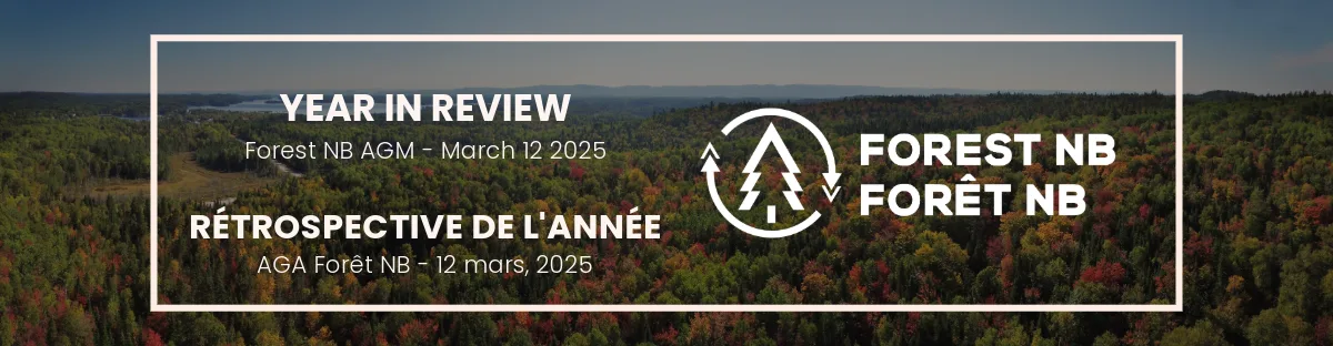year in review fr-1 (1)