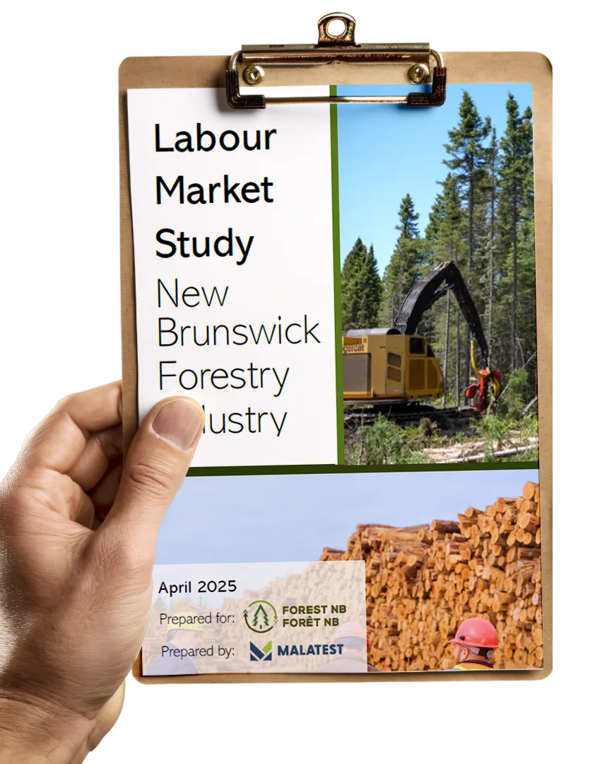labour market study